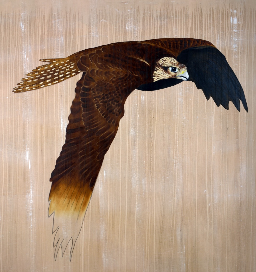 OPERA GALLERY MONACO faucon-sacre-falco-cherrug-extinction-protégé-disparition Thierry Bisch artiste peintre animaux tableau art  nature biodiversité conservation  
